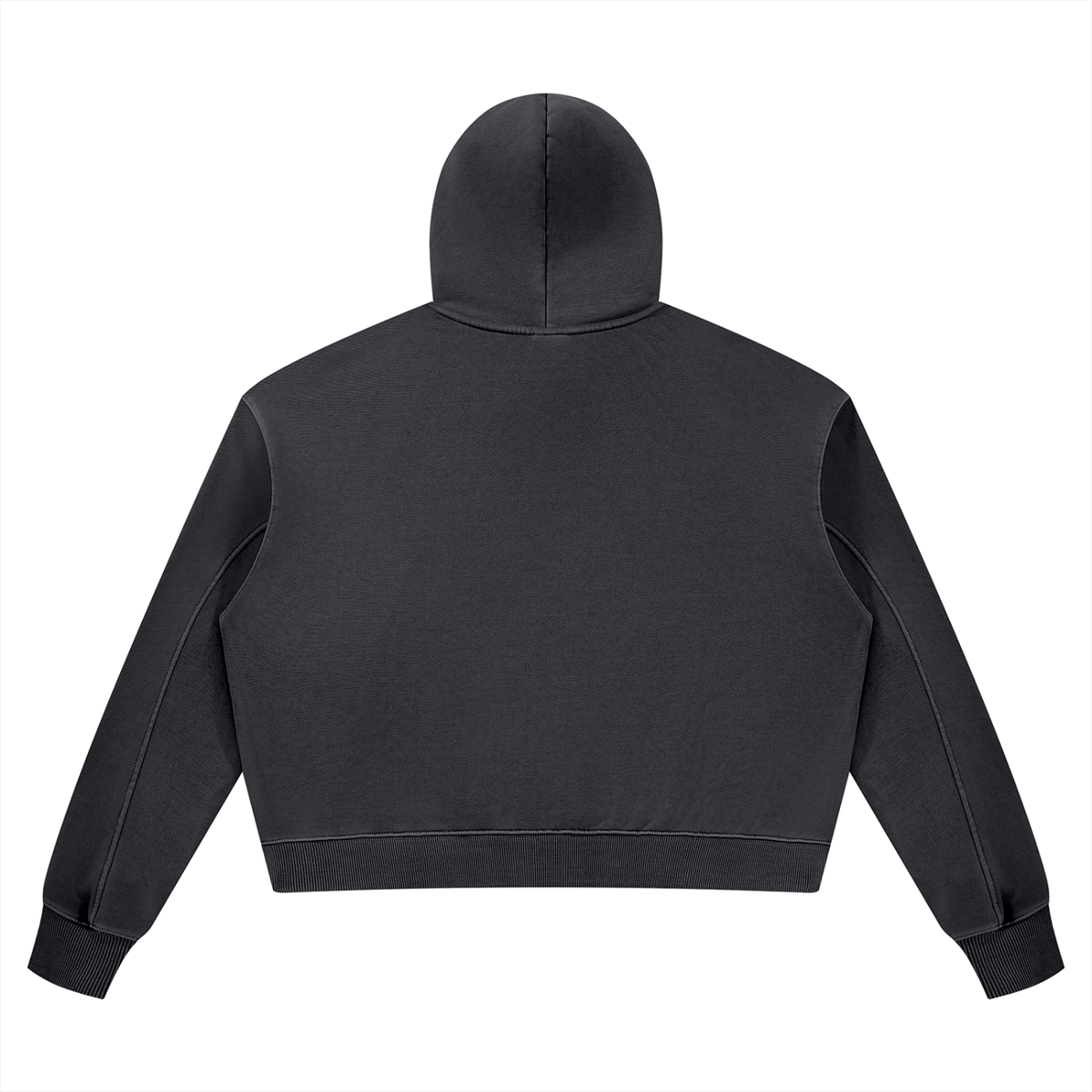 PBI Forever Flamingo Cropped Hoodie